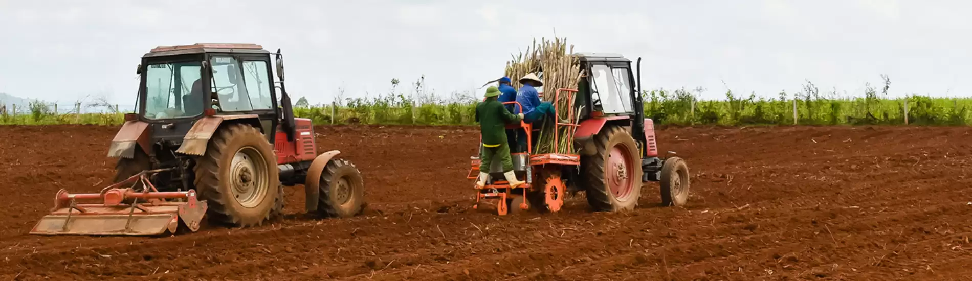 Dịch vụ chuẩn bị đất trồng